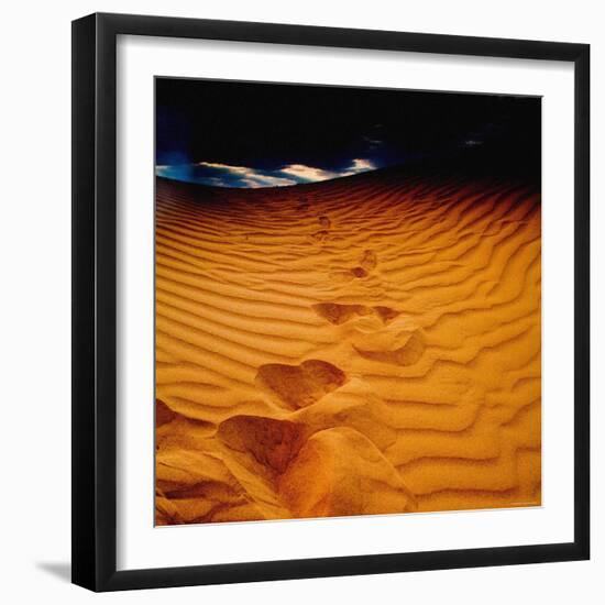 Lost in the Golden Sand-Mark James Gaylard-Framed Photographic Print