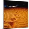 Lost in the Golden Sand-Mark James Gaylard-Mounted Photographic Print