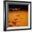 Lost in the Golden Sand-Mark James Gaylard-Framed Photographic Print