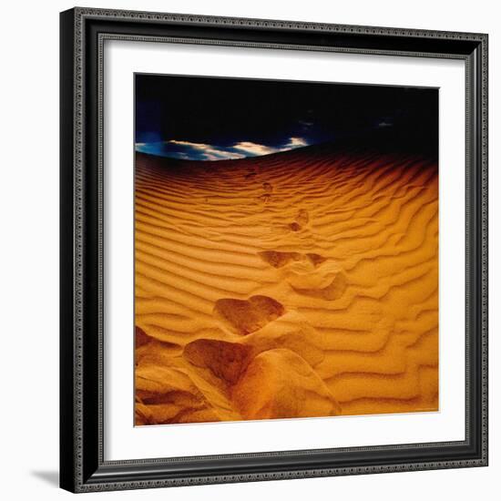 Lost in the Golden Sand-Mark James Gaylard-Framed Photographic Print