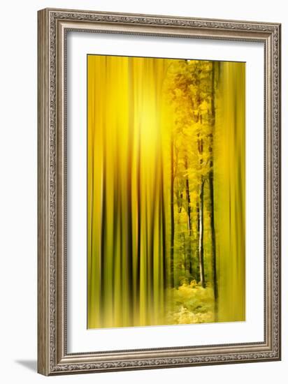 Lost in the Moment-Philippe Sainte-Laudy-Framed Photographic Print