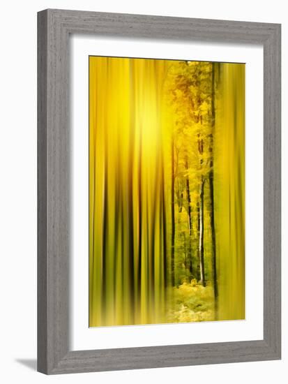 Lost in the Moment-Philippe Sainte-Laudy-Framed Photographic Print