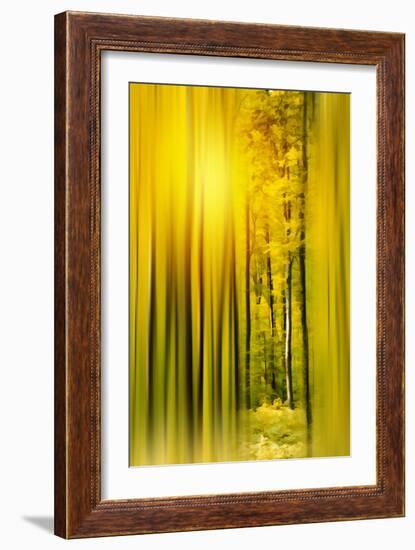 Lost in the Moment-Philippe Sainte-Laudy-Framed Photographic Print