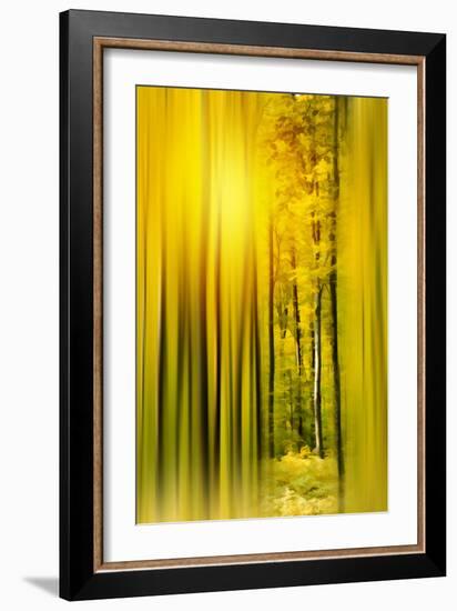 Lost in the Moment-Philippe Sainte-Laudy-Framed Photographic Print