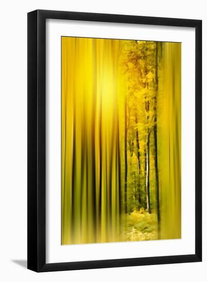 Lost in the Moment-Philippe Sainte-Laudy-Framed Photographic Print