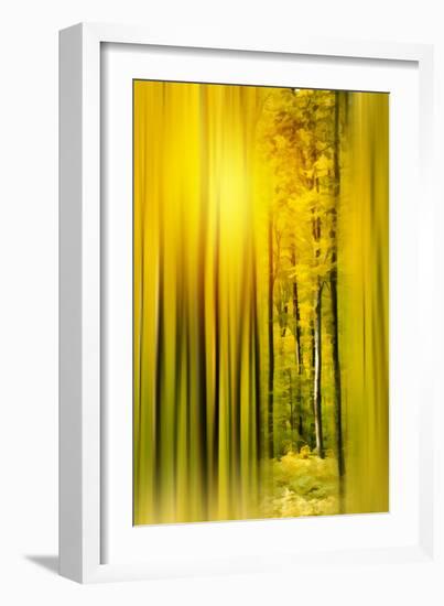 Lost in the Moment-Philippe Sainte-Laudy-Framed Photographic Print