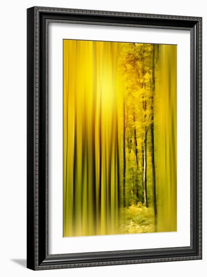Lost in the Moment-Philippe Sainte-Laudy-Framed Photographic Print