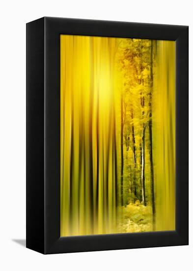 Lost in the Moment-Philippe Sainte-Laudy-Framed Premier Image Canvas