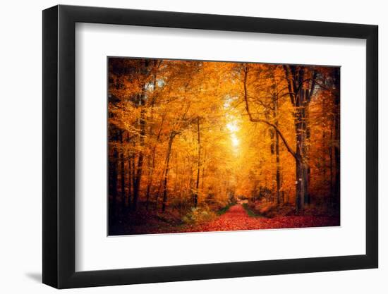 Lost in the Yellow Forest-Philippe Saint-Laudy-Framed Photographic Print