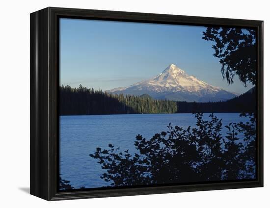 Lost Lake and Mount Hood-James Randklev-Framed Premier Image Canvas