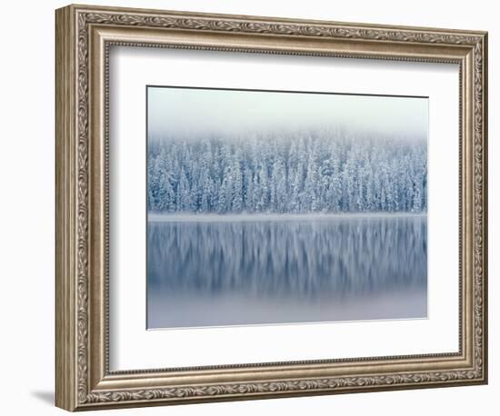 Lost Lake and Snow-Covered Douglas Firs-Steve Terrill-Framed Photographic Print