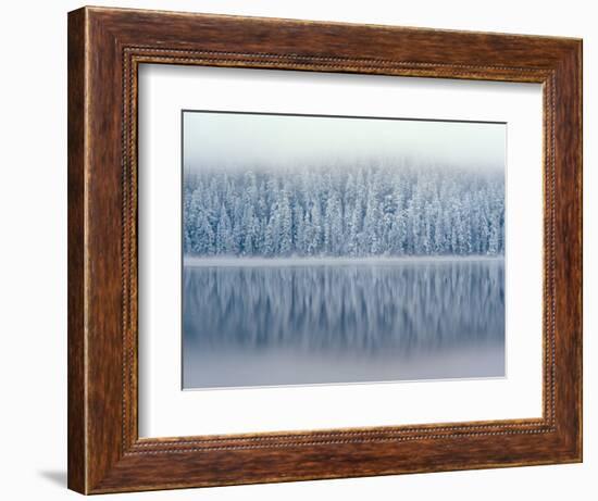 Lost Lake and Snow-Covered Douglas Firs-Steve Terrill-Framed Photographic Print