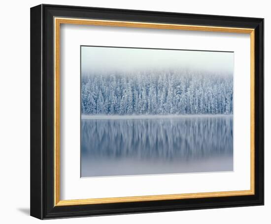 Lost Lake and Snow-Covered Douglas Firs-Steve Terrill-Framed Photographic Print