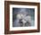 Lost Without You-Bruce Dumas-Framed Giclee Print