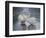 Lost Without You-Bruce Dumas-Framed Giclee Print