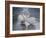 Lost Without You-Bruce Dumas-Framed Giclee Print