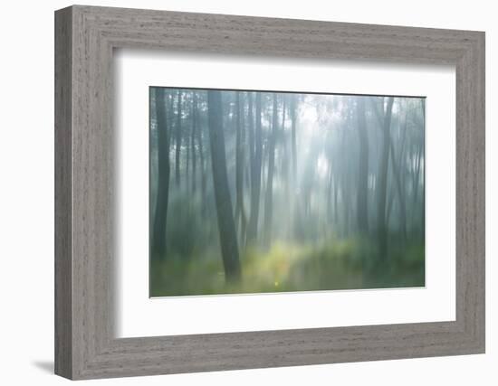 Lost-Viviane Fedieu Daniel-Framed Photographic Print