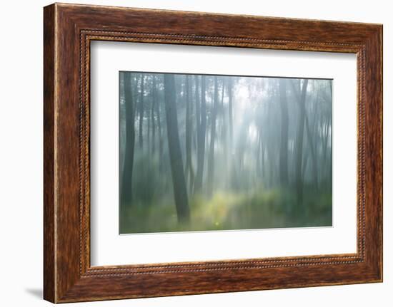 Lost-Viviane Fedieu Daniel-Framed Photographic Print