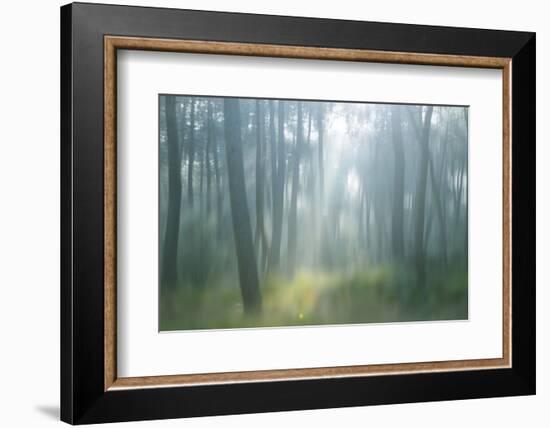 Lost-Viviane Fedieu Daniel-Framed Photographic Print