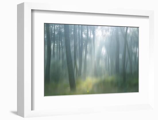 Lost-Viviane Fedieu Daniel-Framed Photographic Print