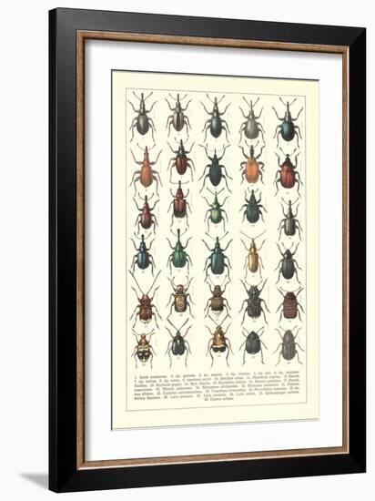 Lots of Beetles-null-Framed Art Print