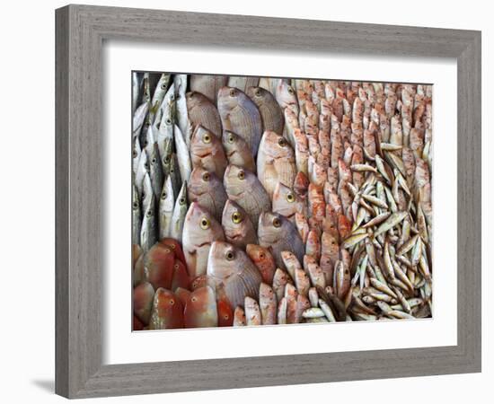 Lots of Different Mediterranean Fish-Joerg Lehmann-Framed Photographic Print