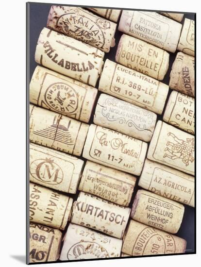 Lots of Different Wine Corks Lying Side by Side-null-Mounted Photographic Print