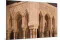 Premium Photographic Print