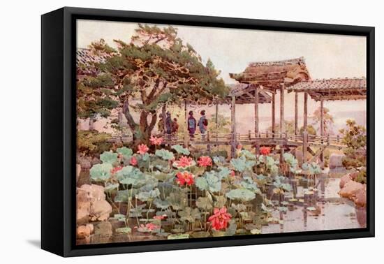 Lotus at Kodaiji-Ella Du Cane-Framed Premier Image Canvas