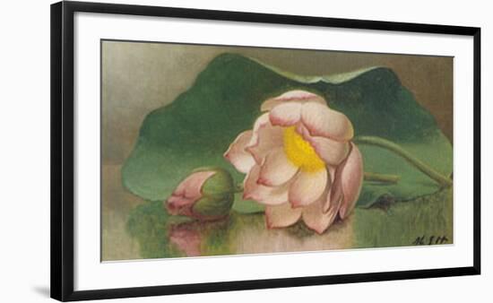 Lotus Blossom-Martin Johnson Heade-Framed Art Print