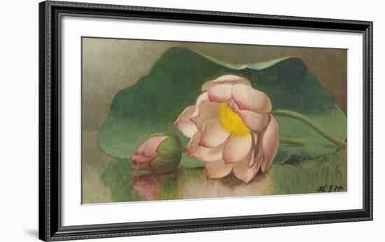 Lotus Blossom-Martin Johnson Heade-Framed Art Print