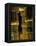 Lotus Columns of the Luxor Temple, Egypt-Claudia Adams-Framed Premier Image Canvas