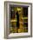 Lotus Columns of the Luxor Temple, Egypt-Claudia Adams-Framed Photographic Print