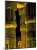 Lotus Columns of the Luxor Temple, Egypt-Claudia Adams-Mounted Photographic Print