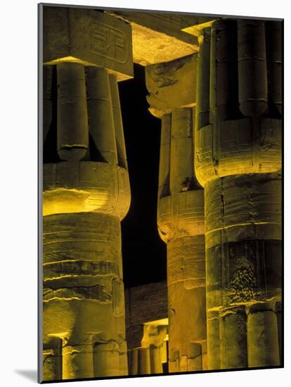 Lotus Columns of the Luxor Temple, Egypt-Claudia Adams-Mounted Photographic Print