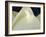 Lotus Detail III-Jim Christensen-Framed Photographic Print