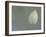 Lotus Detail VI-Jim Christensen-Framed Photographic Print