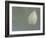 Lotus Detail VI-Jim Christensen-Framed Photographic Print