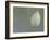 Lotus Detail VI-Jim Christensen-Framed Photographic Print