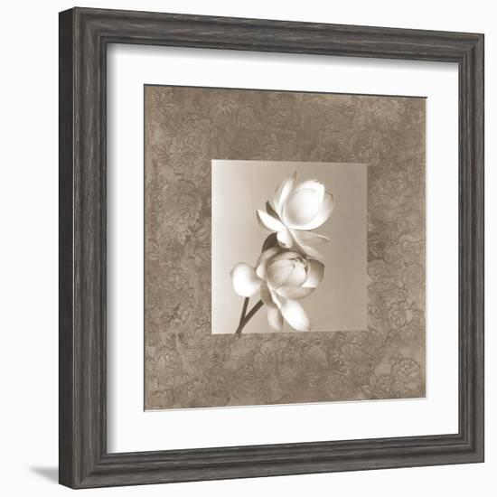 Lotus Duet-Claire Beaumont-Framed Art Print