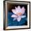 Lotus Flower Blooming on Pond-Wu Kailiang-Framed Photographic Print