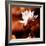 Lotus Flower Blossom-Liang Zhang-Framed Photographic Print