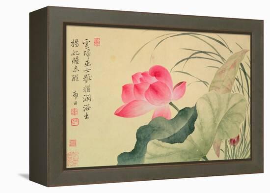 Lotus Flower, by Yun Shou-P'Ing (1633-90), from an 'Album of Flowers', (W/C on Silk Backed Paper)-Yun Shouping-Framed Premier Image Canvas