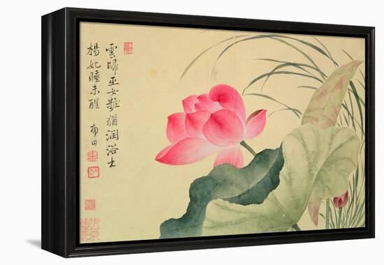 Lotus Flower, by Yun Shou-P'Ing (1633-90), from an 'Album of Flowers', (W/C on Silk Backed Paper)-Yun Shouping-Framed Premier Image Canvas