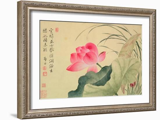 Lotus Flower, by Yun Shou-P'Ing (1633-90), from an 'Album of Flowers', (W/C on Silk Backed Paper)-Yun Shouping-Framed Giclee Print