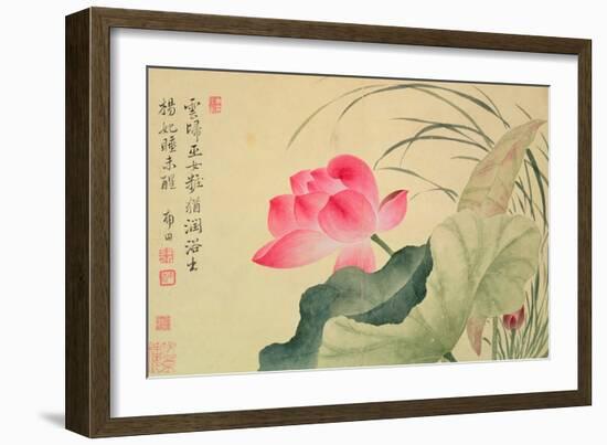 Lotus Flower, by Yun Shou-P'Ing (1633-90), from an 'Album of Flowers', (W/C on Silk Backed Paper)-Yun Shouping-Framed Giclee Print