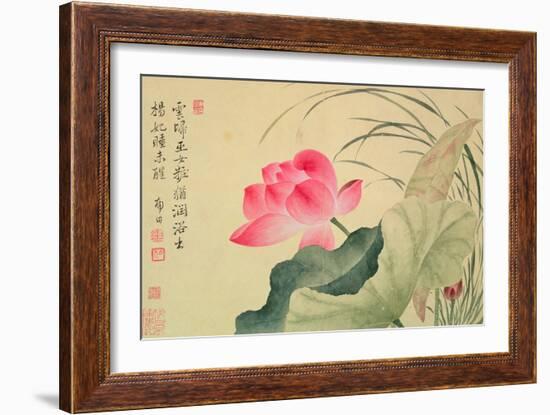 Lotus Flower, by Yun Shou-P'Ing (1633-90), from an 'Album of Flowers', (W/C on Silk Backed Paper)-Yun Shouping-Framed Giclee Print