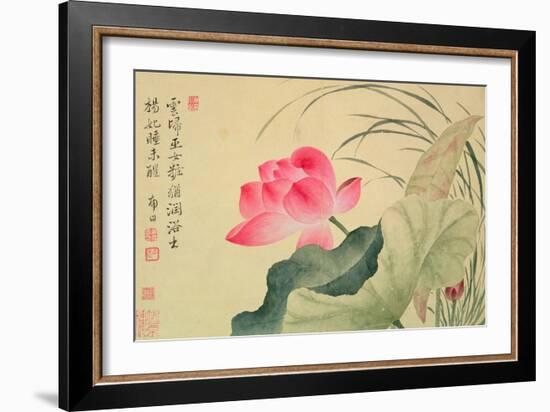 Lotus Flower, by Yun Shou-P'Ing (1633-90), from an 'Album of Flowers', (W/C on Silk Backed Paper)-Yun Shouping-Framed Giclee Print