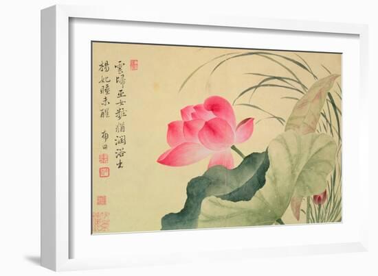 Lotus Flower, by Yun Shou-P'Ing (1633-90), from an 'Album of Flowers', (W/C on Silk Backed Paper)-Yun Shouping-Framed Giclee Print