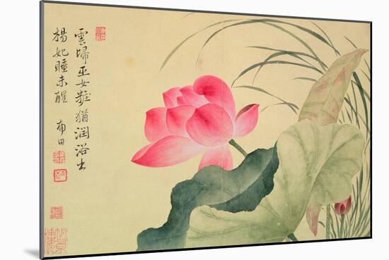 Lotus Flower, by Yun Shou-P'Ing (1633-90), from an 'Album of Flowers', (W/C on Silk Backed Paper)-Yun Shouping-Mounted Giclee Print